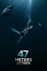 Nonton Film 47 Meters Down (2017) Subtitle Indonesia