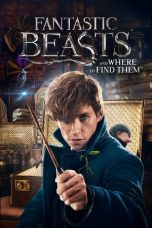 Nonton Film Fantastic Beasts and Where to Find Them (2016) Subtitle Indonesia