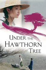 Nonton Film Under the Hawthorn Tree (2010) Subtitle Indonesia