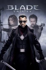 Nonton Film Blade: Trinity (2004) Subtitle Indonesia