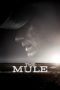 Nonton Film The Mule (2018) Subtitle Indonesia