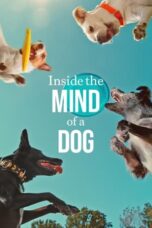 Nonton Film Inside the Mind of a Dog (2024) Subtitle Indonesia